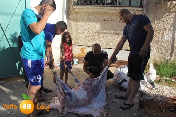 dabe7 ludj31 (2).JPG